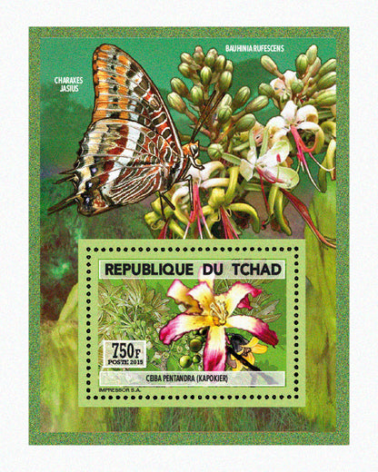 Natural History / Wild Flowers