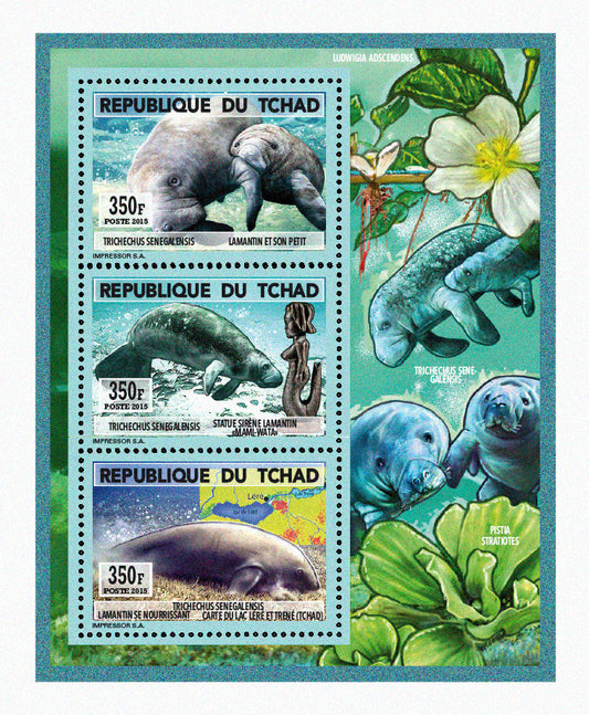 Natural History / Manatees of Lake Chad