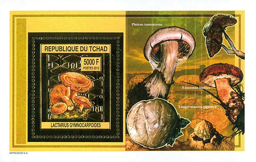 Mushrooms Gold issue (2012)