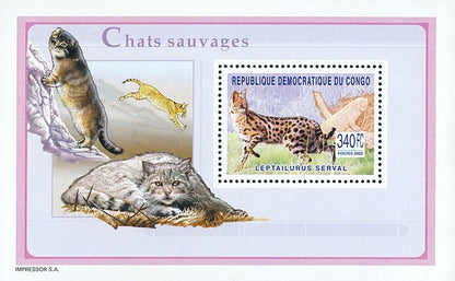 Wild Cats Fauna