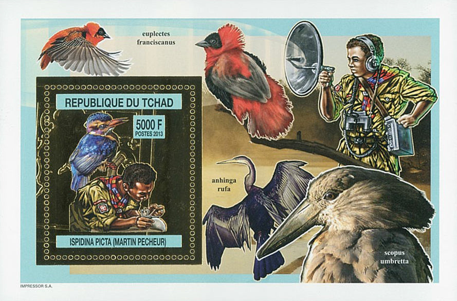 Scouting & Birds-Raptors / Gold Issue