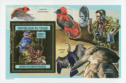 Scouting & Birds-Raptors / Gold Issue