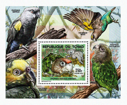 Insects and Birds / Parrots and Parakeets