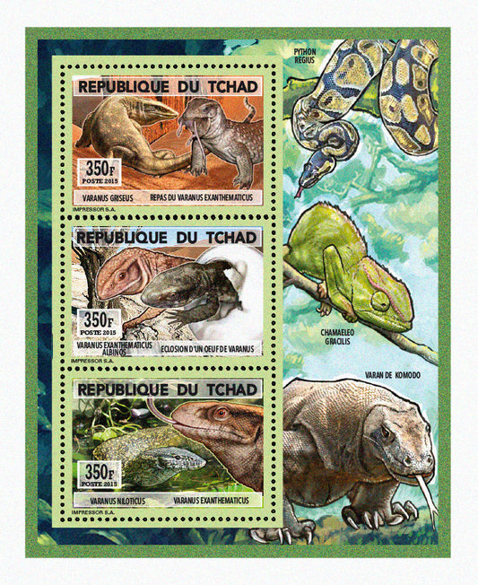 Natural History / Monitor Lizards