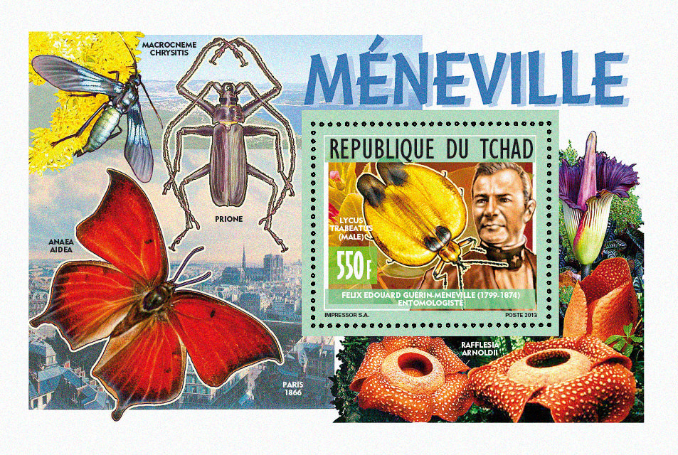 Personalities / Insect Researcher - Meneville & Fabre