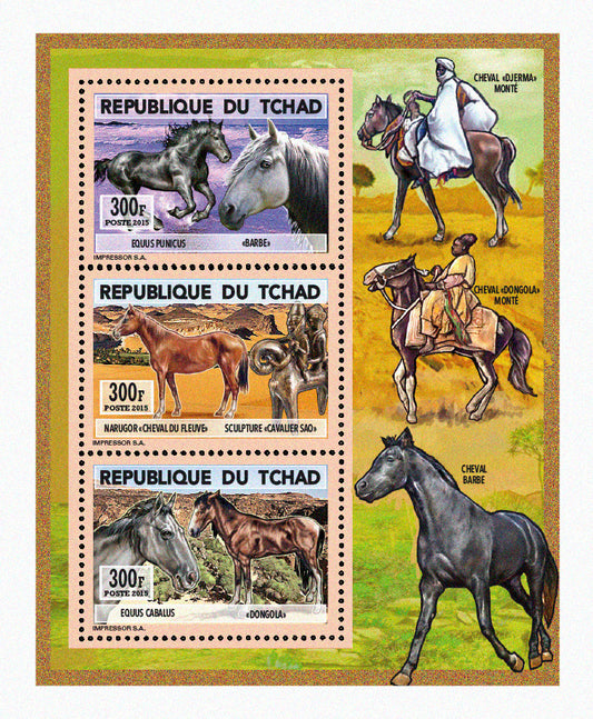 Natural History / Wild Horses