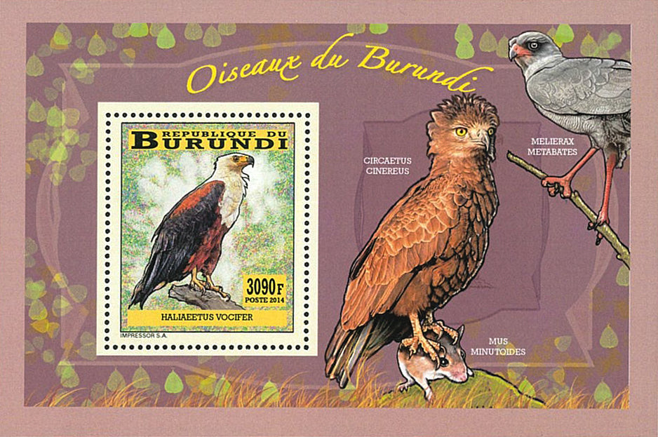 Fauna & Flora : Birds of prey