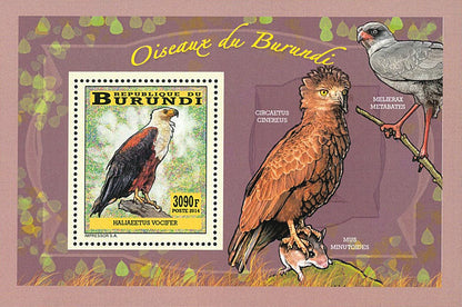 Fauna & Flora : Birds of prey
