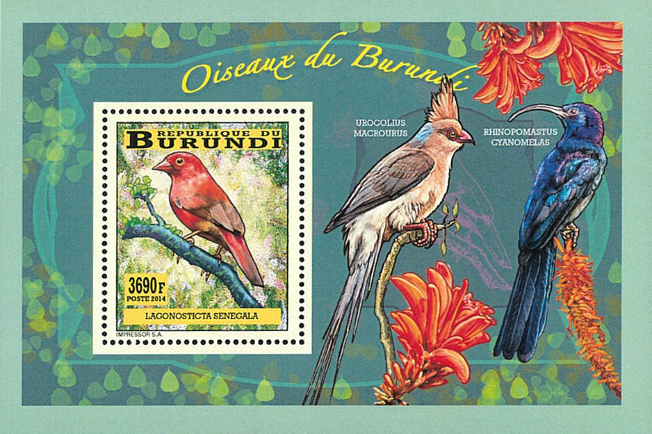 Fauna & Flora : Birds (II)