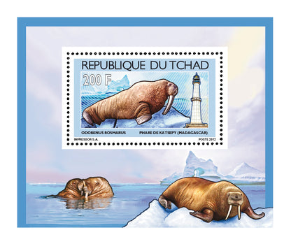 Walruses & Lighthouses 2012