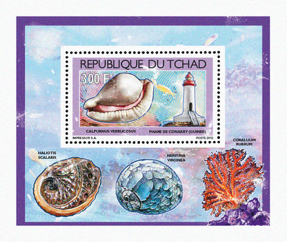 Shells & Lighthouses 2012