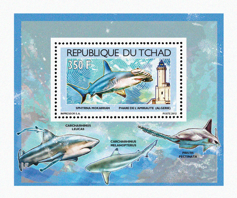 Sharks & Lighthouses