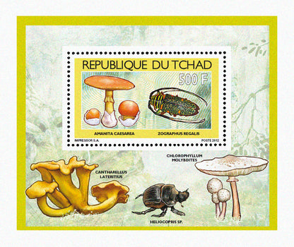Mushrooms & Beetles (1)