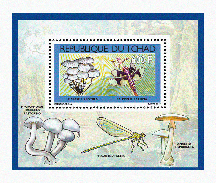 Mushrooms & Insects (2)