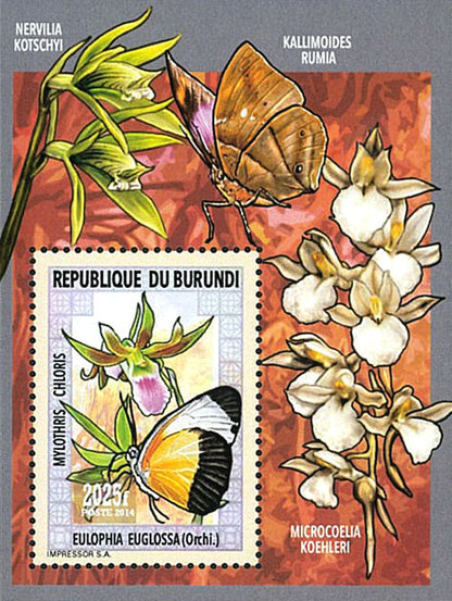 Fauna & Flora : Orchids and Butterflies