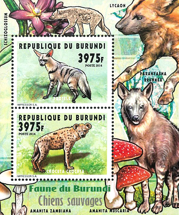 Fauna & Flora : Hyenas