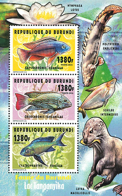 Fauna & Flora : Fish of Lake Tanganyka (I)