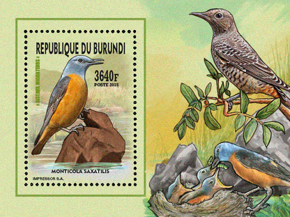 Fauna & Flora : Birds 2015 (VII) Oiseaux divers