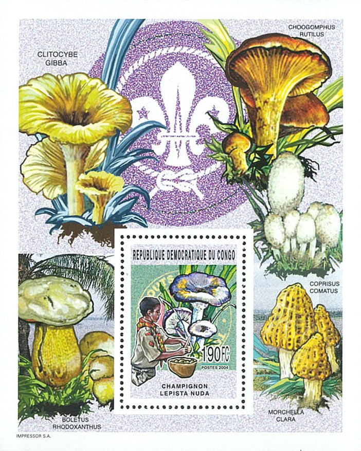Scouting and Nature (2005)