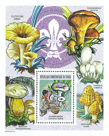 Scouting and Nature (2005)
