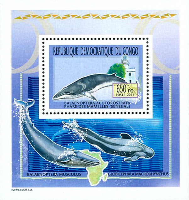 Whales & Lighthouses - Animals (2011)