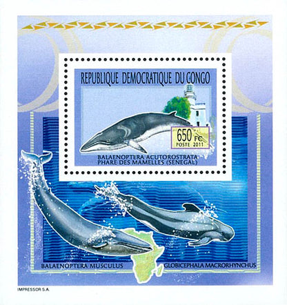 Whales & Lighthouses - Animals (2011)