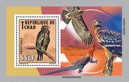 Native Mammals 2012 / Falcons & Eagles