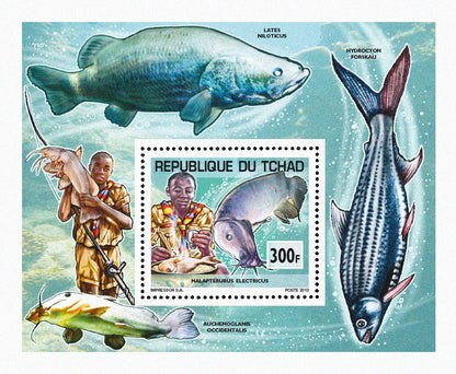 Scouting & Fishes