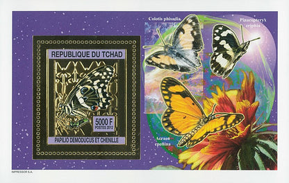 Butterflies and Caterpillars / Gold Issue