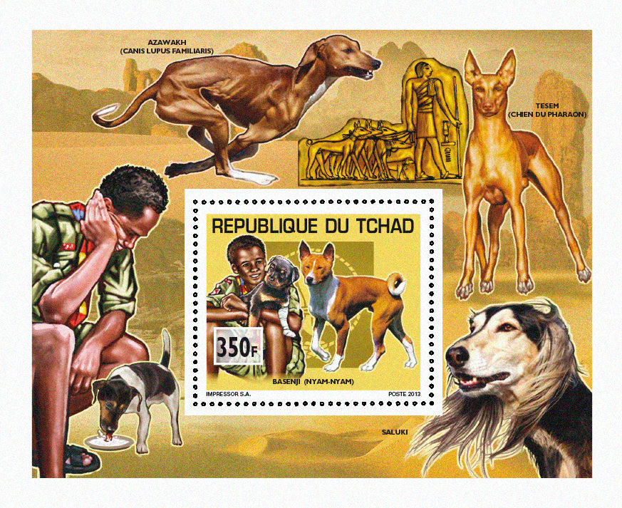 Scouting & Dogs-Cats