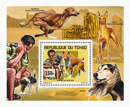 Scouting & Dogs-Cats