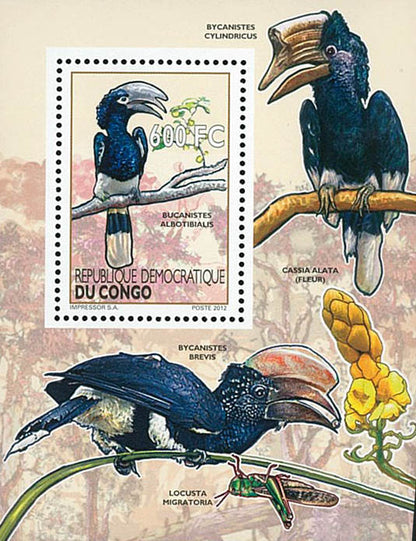 Birds / Calaos - Fauna & Flora  (2012)