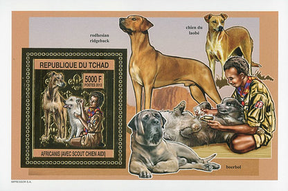 Scouting & Dogs-Cats / Gold Issue