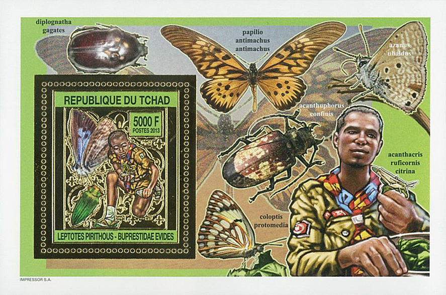 Scouting & Insects-Mushrooms / Gold Issue