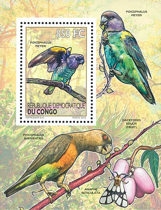 Birds / Parrots - Fauna & Flora  (2012)