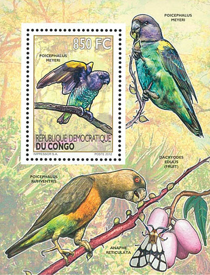 Birds / Parrots - Fauna & Flora  (2012)