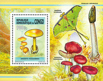 Mushrooms (2013)
