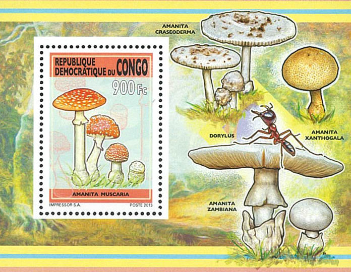 Mushrooms (2013)