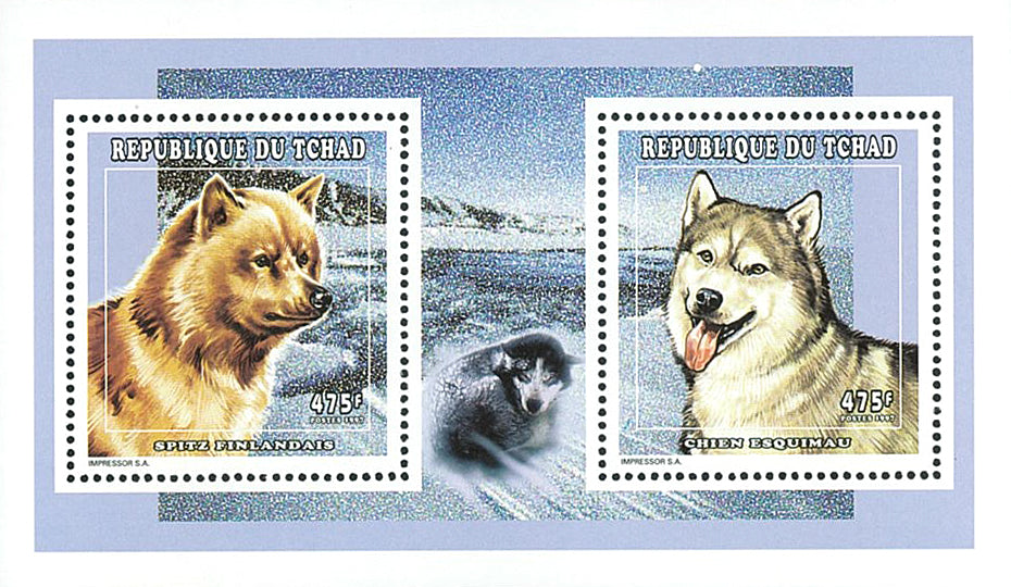 Polar Dogs