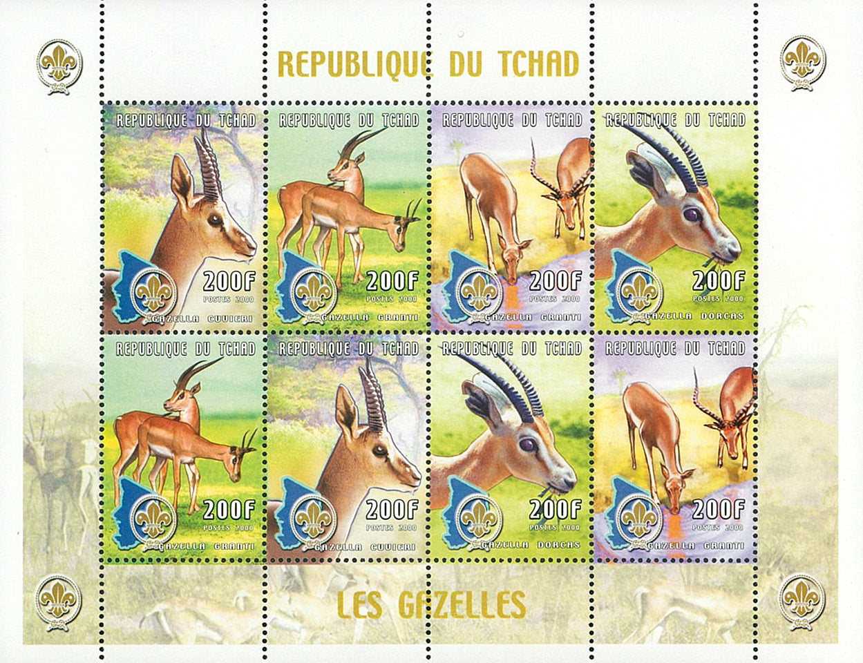 Wild Fauna & Scounting