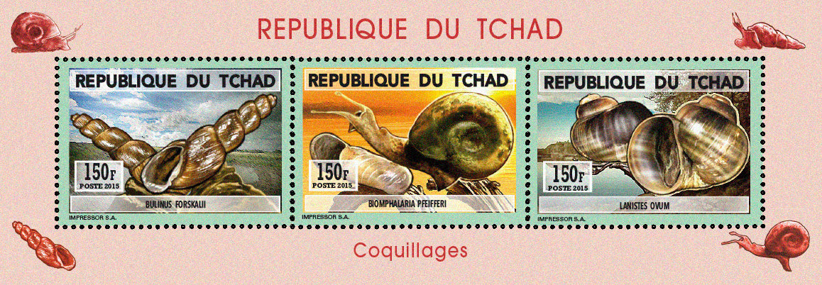 Natural History / Shellfish & snails