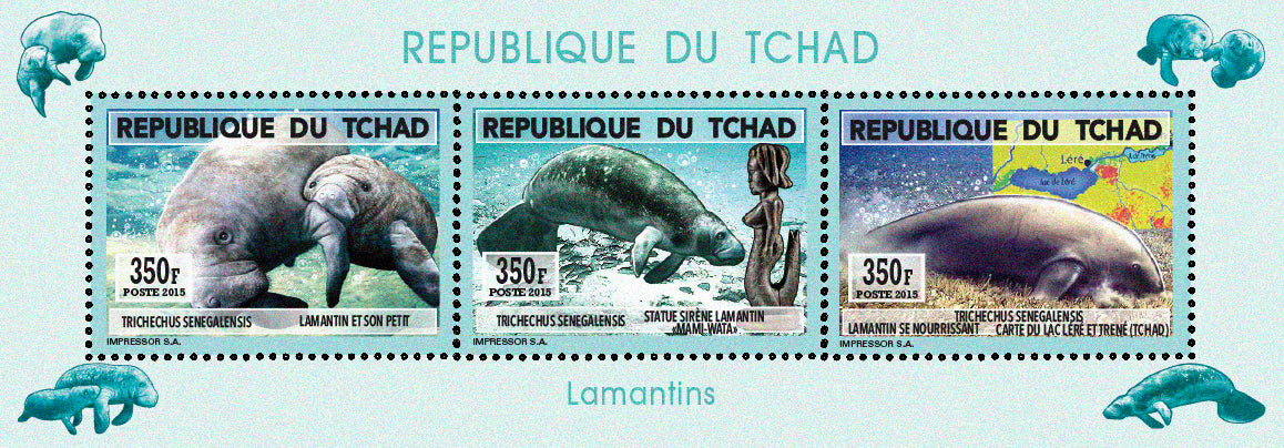 Natural History / Manatees of Lake Chad