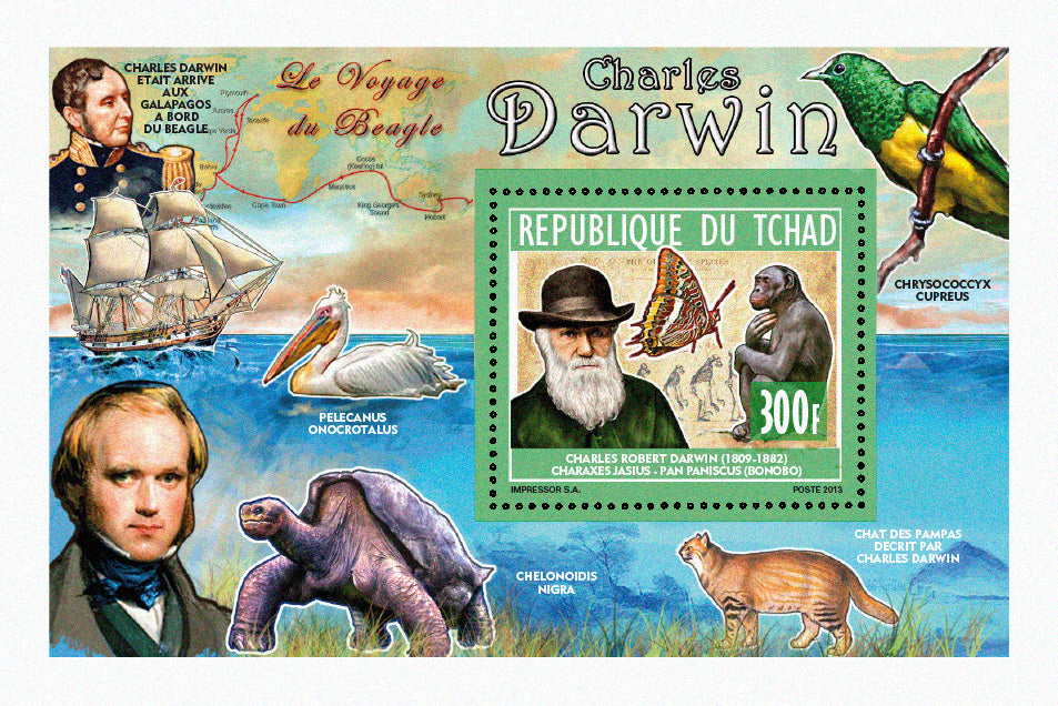 Personalities / Famous Naturalistes - Cousteau & Darwin
