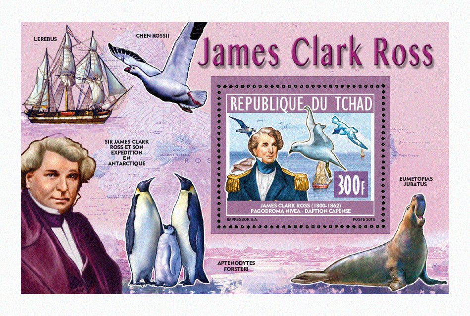 Famous Explorers - Cook & Ross