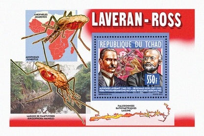 Nobel Prize - Schweitzer & Laveran-Ross