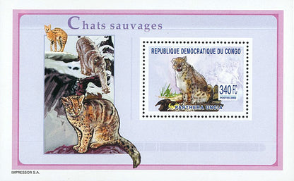 Wild Cats Fauna