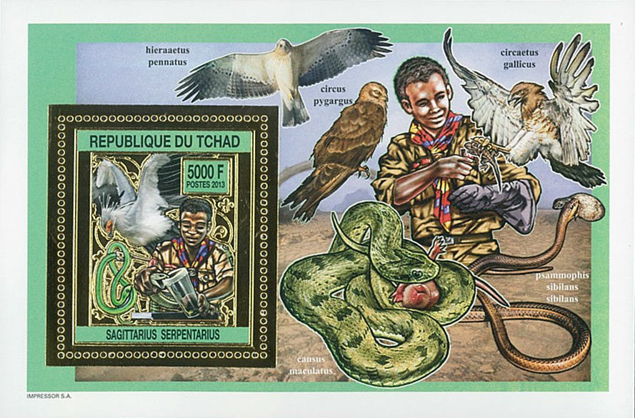 Scouting & Birds-Raptors / Gold Issue