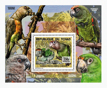 Insects and Birds / Parrots and Parakeets