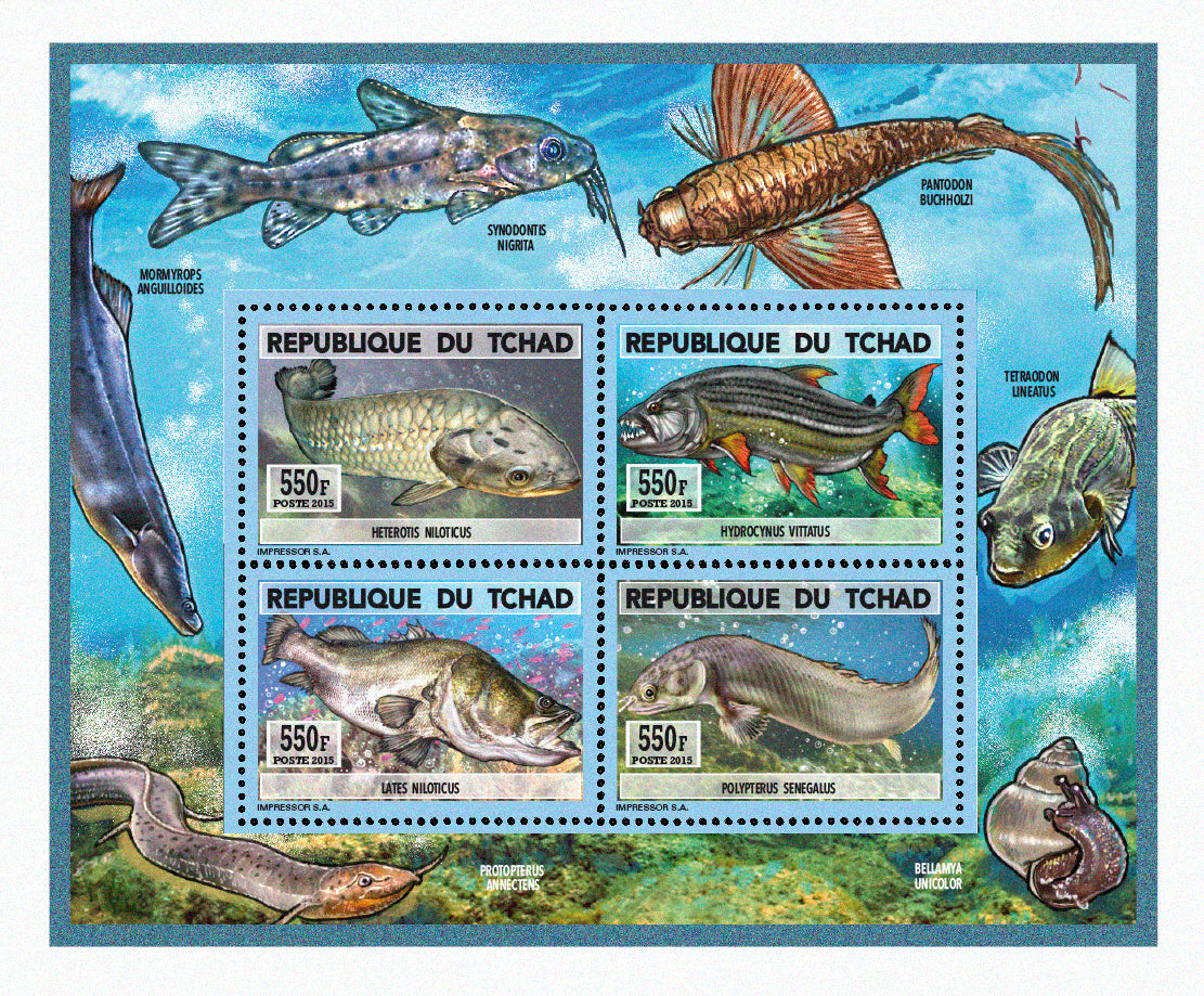 Natural History / Fish from Lake Chad