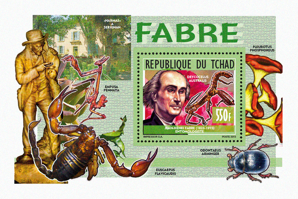 Personalities / Insect Researcher - Meneville & Fabre